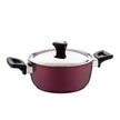 Saflon Red Pot with Stainless Lid, Sizes (16-32 cm)
