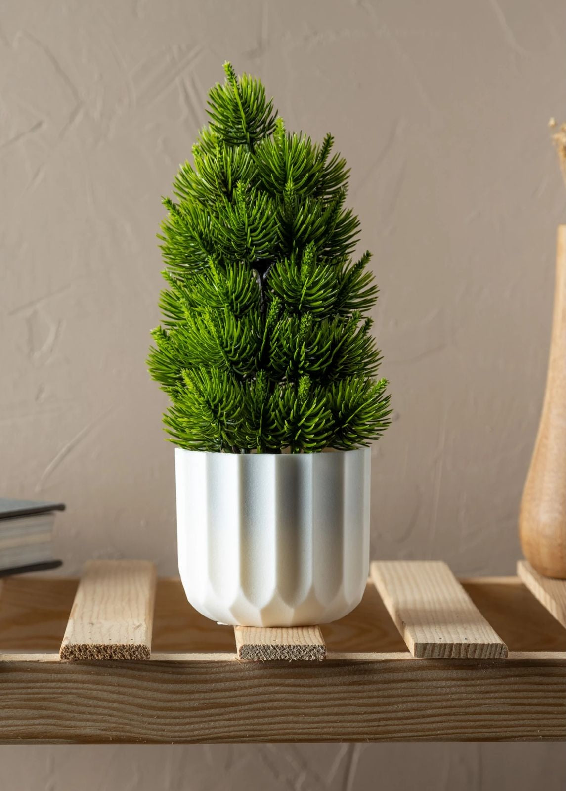 فازة ورد شجرة ورد تركيا 5664