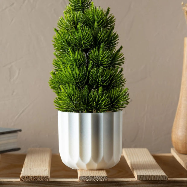 فازة ورد شجرة ورد تركيا 5664