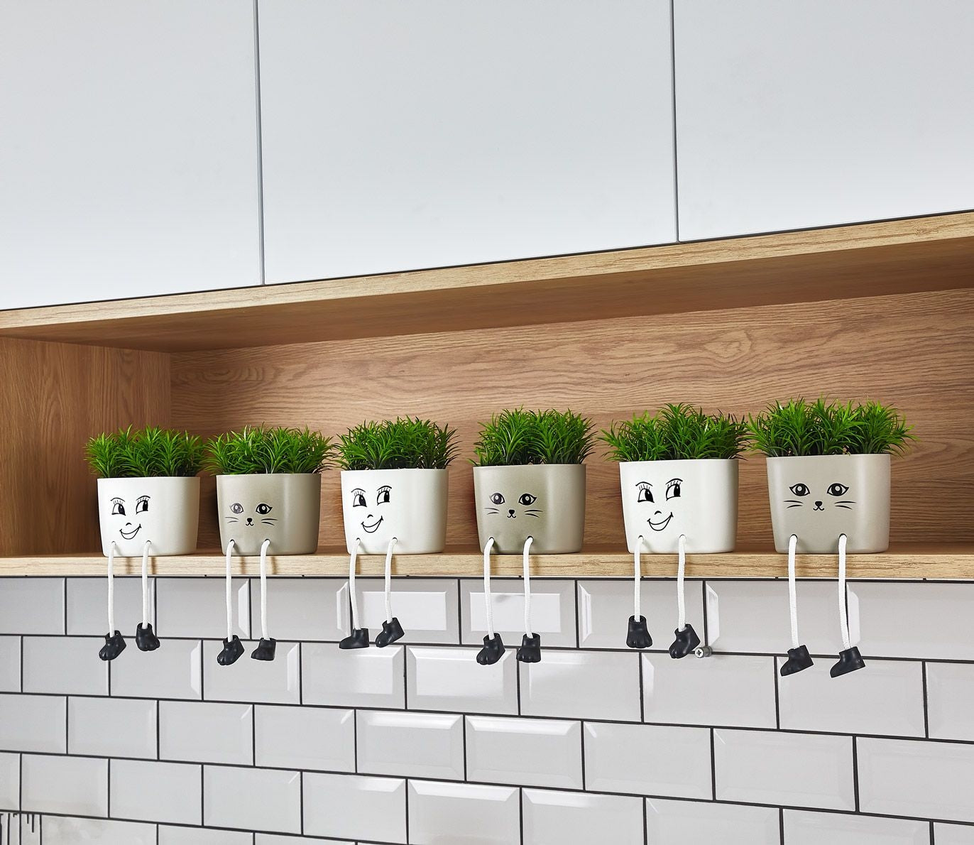 فازة ورد بوت قطة 5705