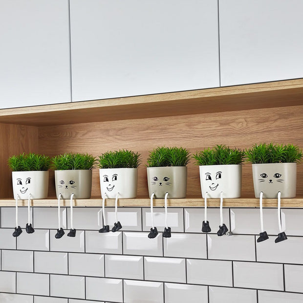 فازة ورد بوت قطة 5705