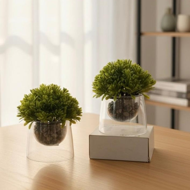 فازة شجرة العيلة 5854