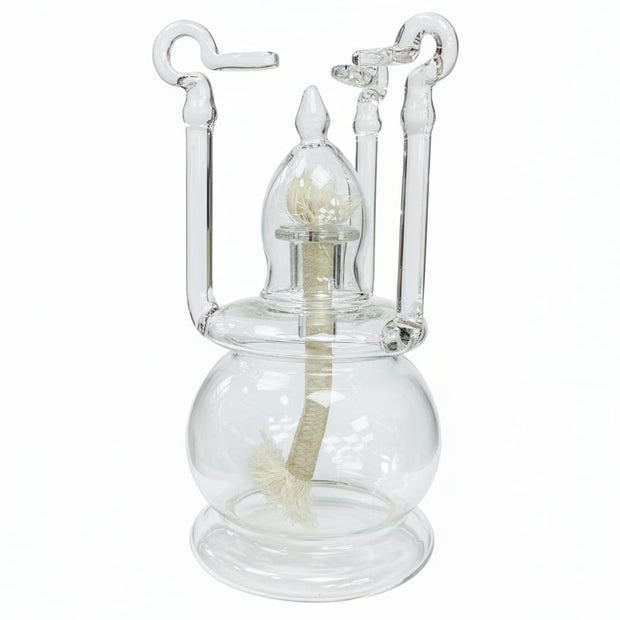 رويال سبرتاية زجاج