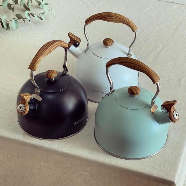 2.5 Liter Colored Stainless Steel Kettle with Whistle