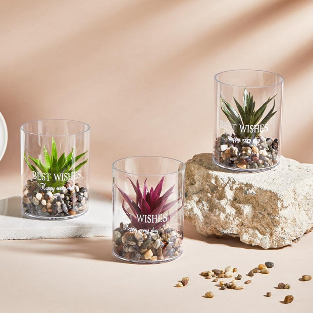 فازة ورد صبار 5812