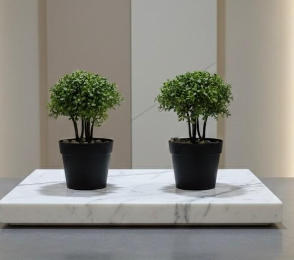 فازة ورد شجرة الظل 5866