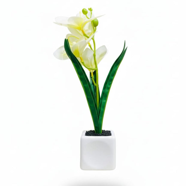 فازة موديل 8407