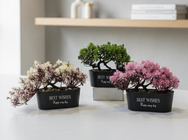 فازة ورد اليوم السعيد 5830