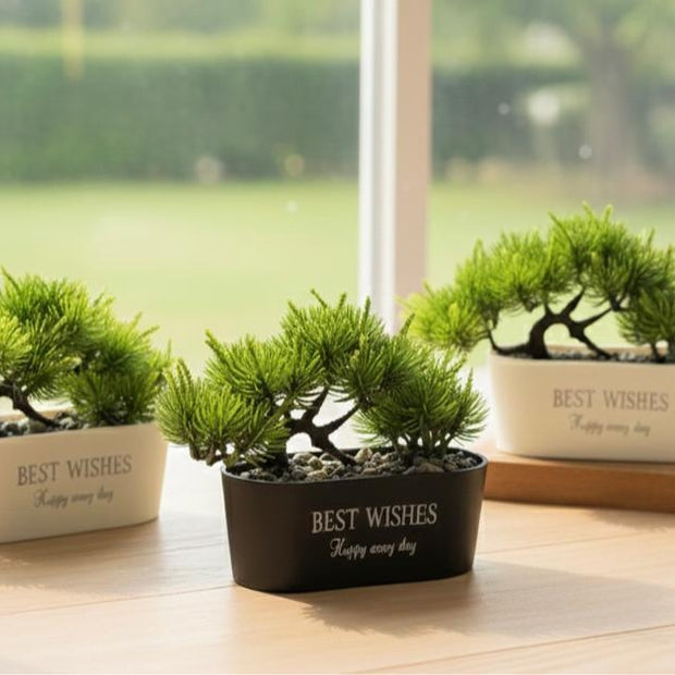 فازة ورد اجمل الامنيات 5829